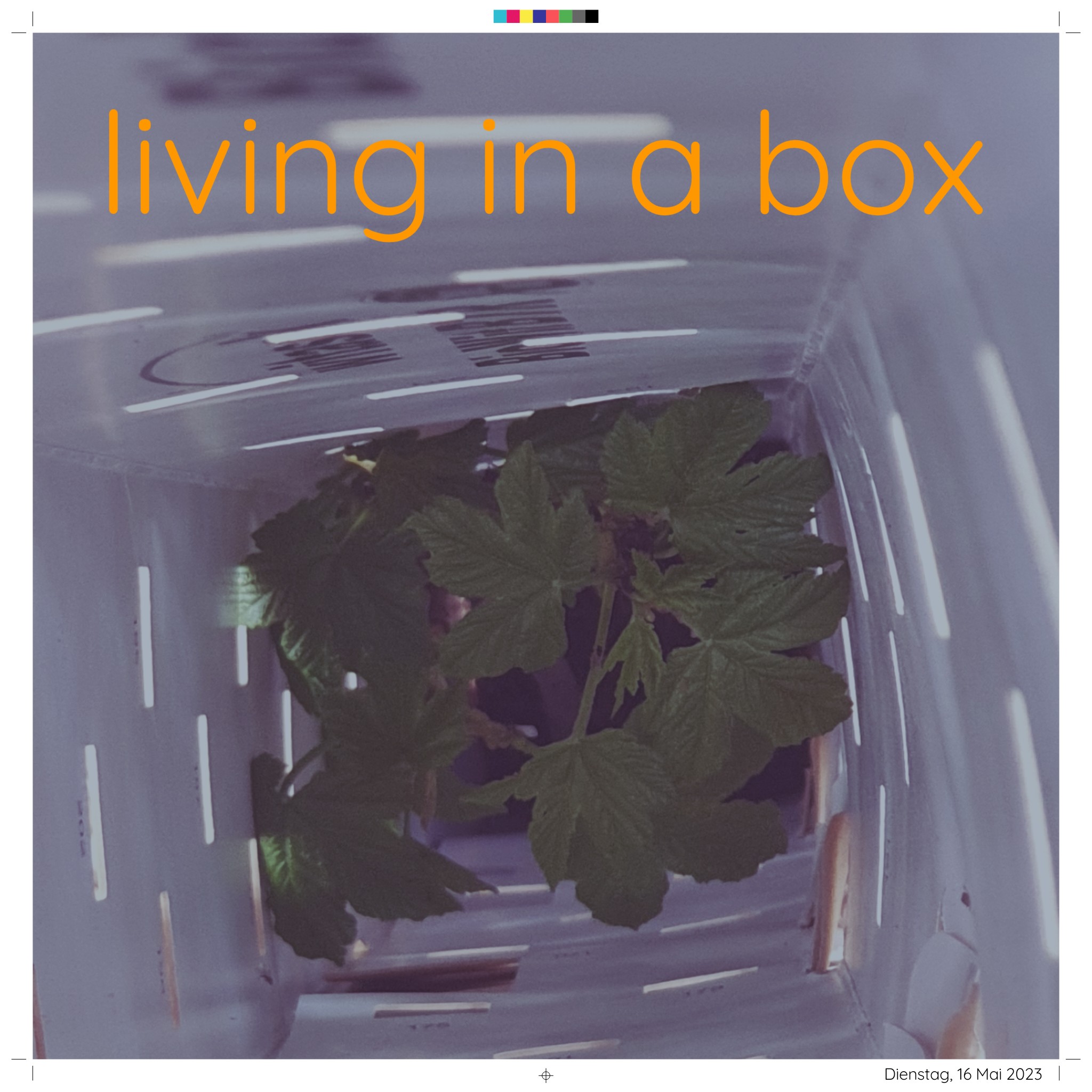 Living in a box