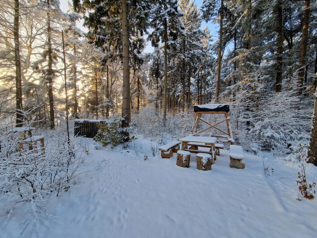 Winter 2023c
