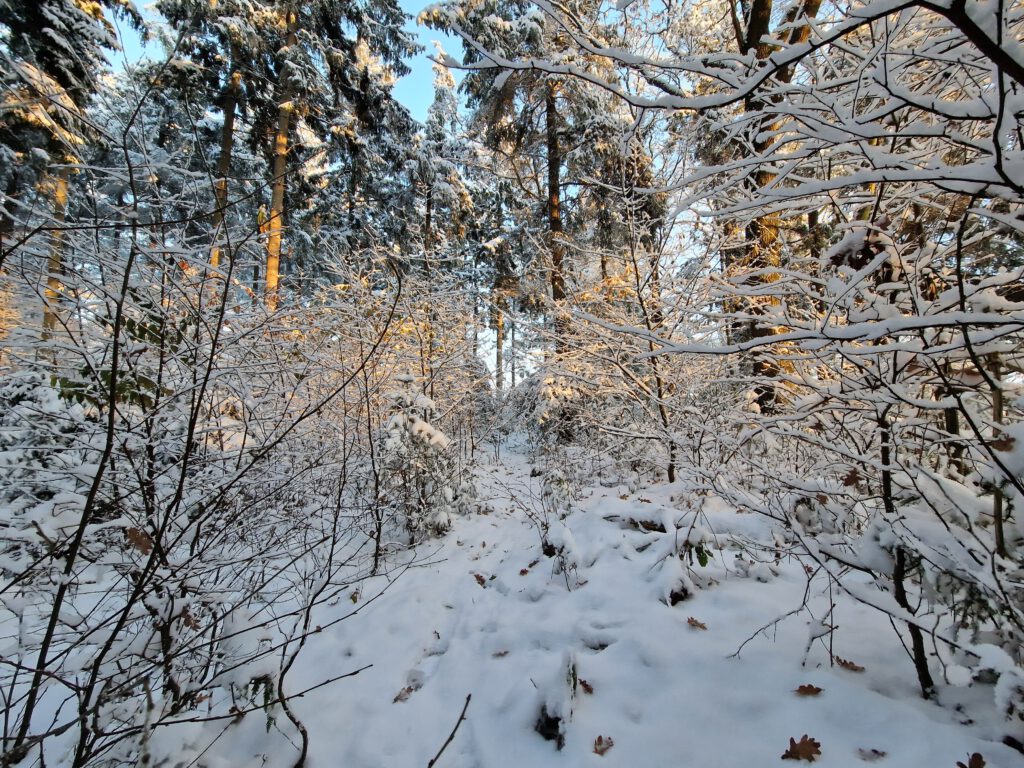 Winter 2023