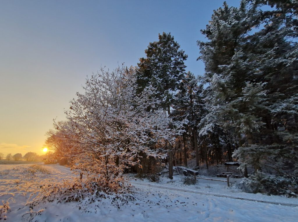 Winter 2023 SW