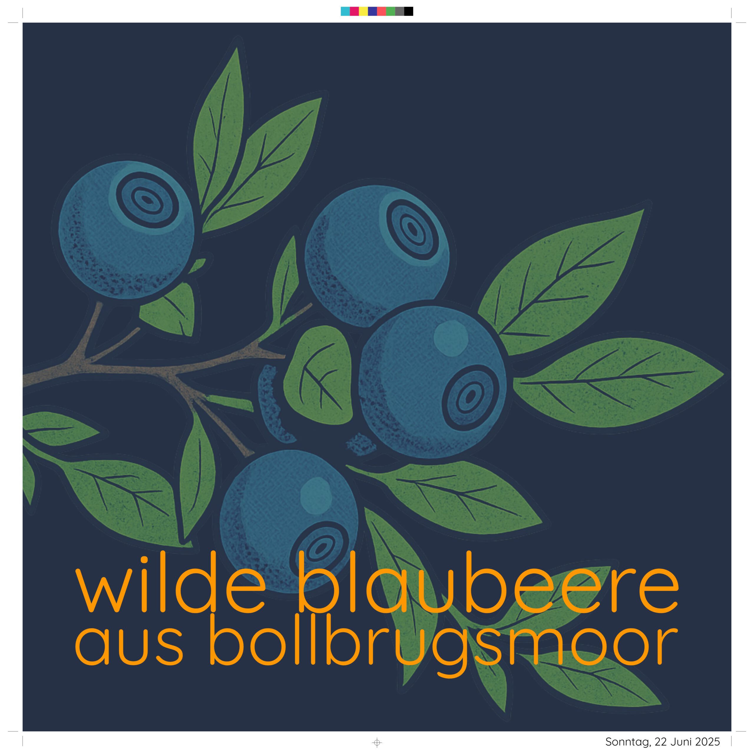 Blaubeere