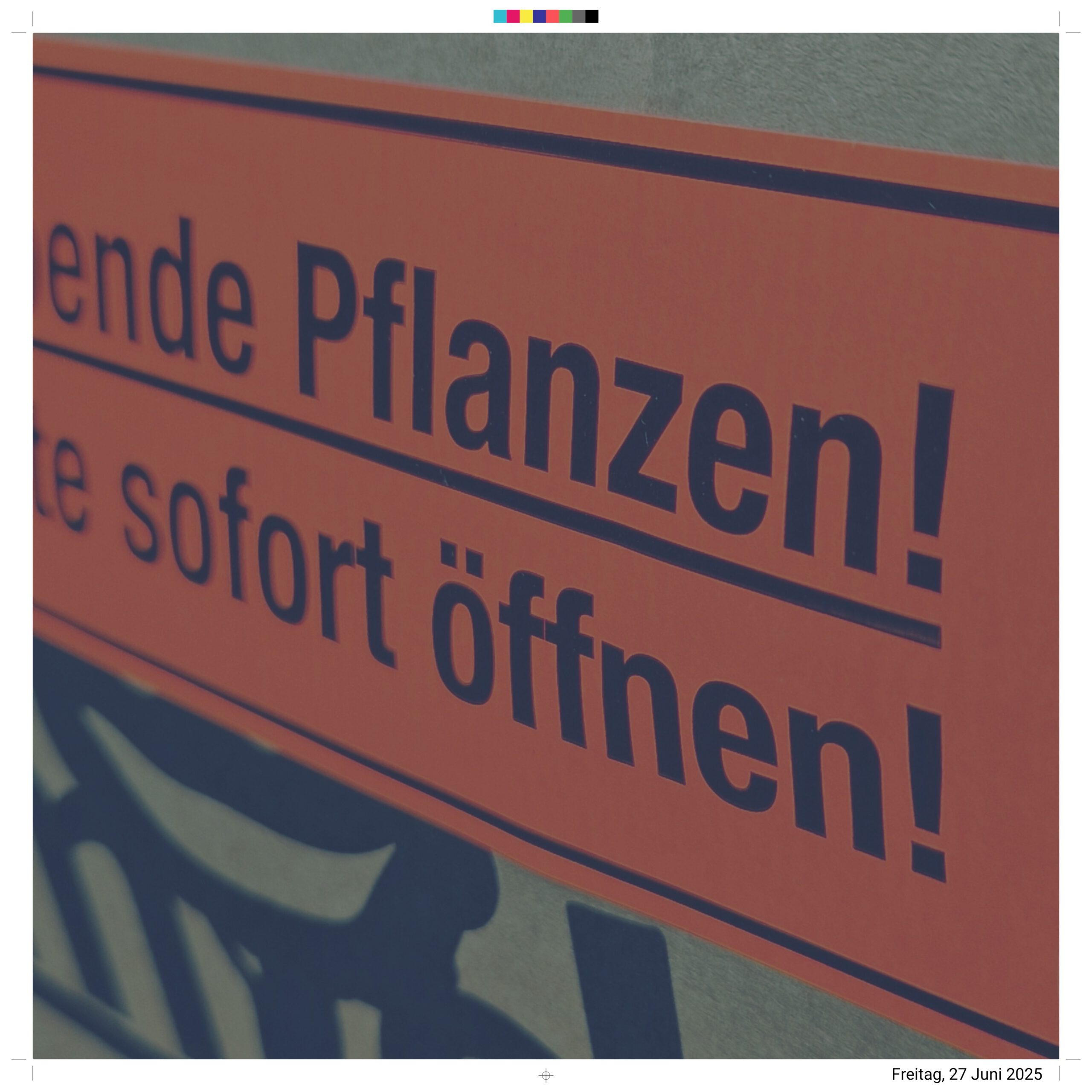 Pflanzen